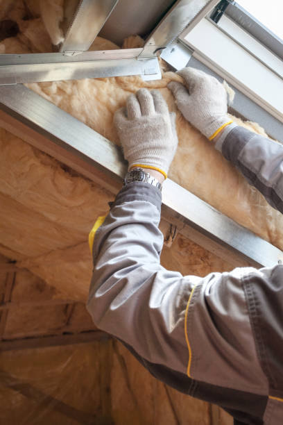 Types of Insulation We Offer in La Puebla, NM