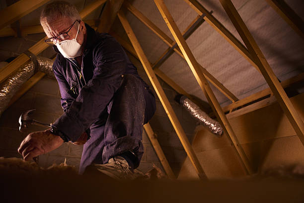 Best Geographic-Specific Insulation Services in La Puebla, NM
